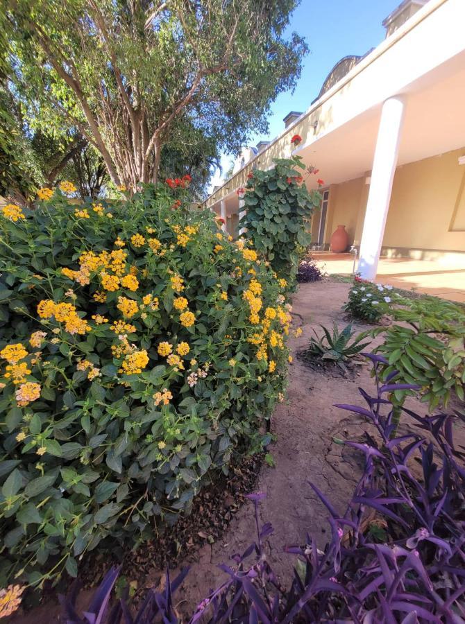 Hotel Portico Norte Tartagal Extérieur photo